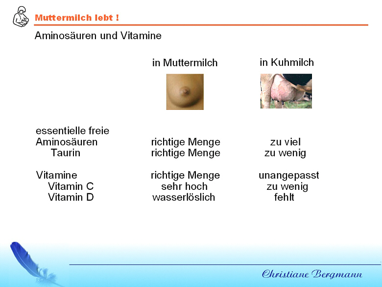 folie10